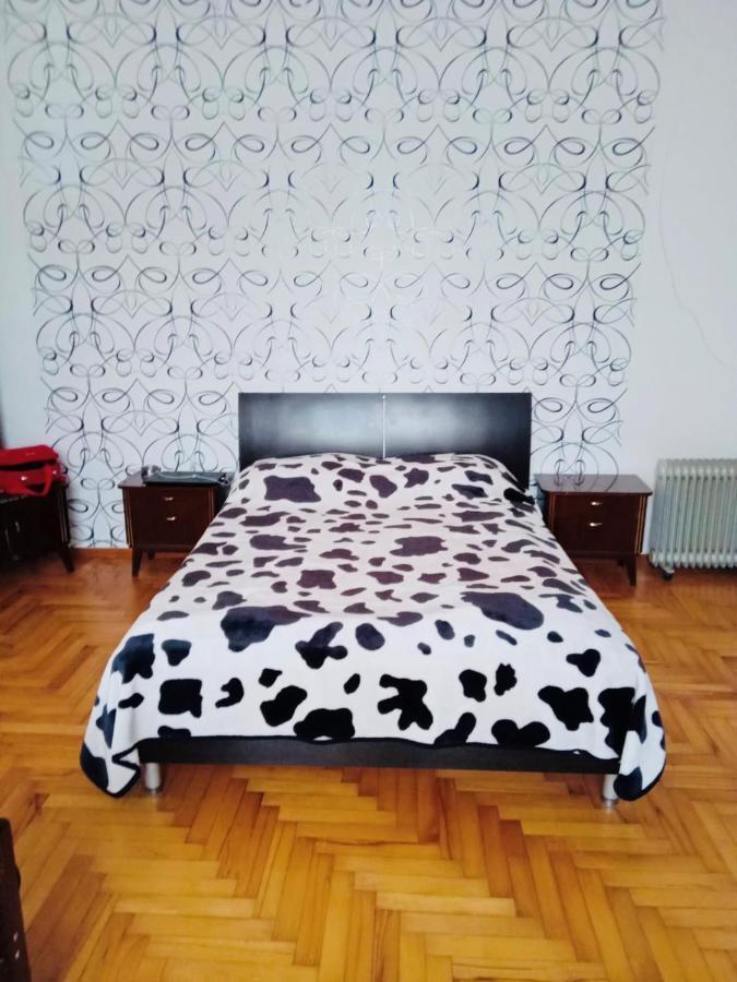 Hotel Mta Tsemi Zewnętrze zdjęcie